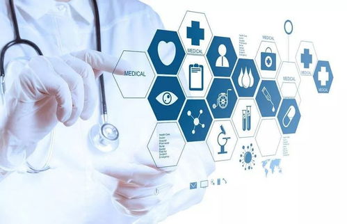 内蒙古互联网政务服务革新取得阶段性成果，构建高效便民互联网信息服务体系